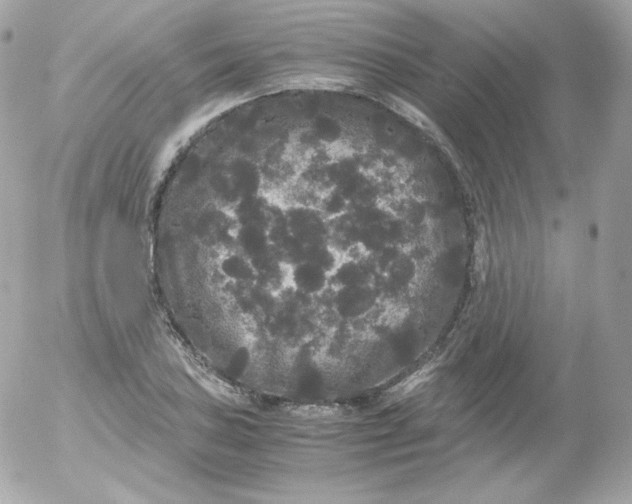 X0000052651027200507221836