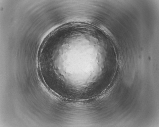 X0000052651028200507221836