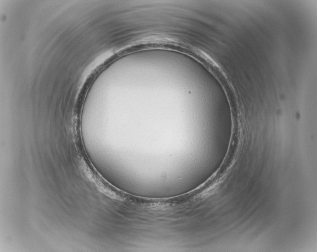 X0000052651029200507221836