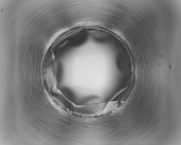 X0000052651030200507221836