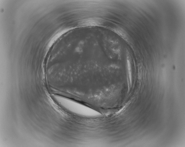 X0000052651031200507221836