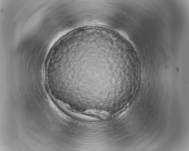 X0000052651032200507221836