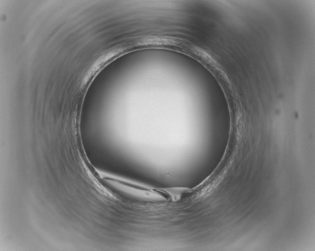 X0000052651033200507221836