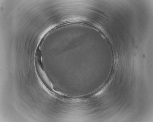 X0000052651034200507221836