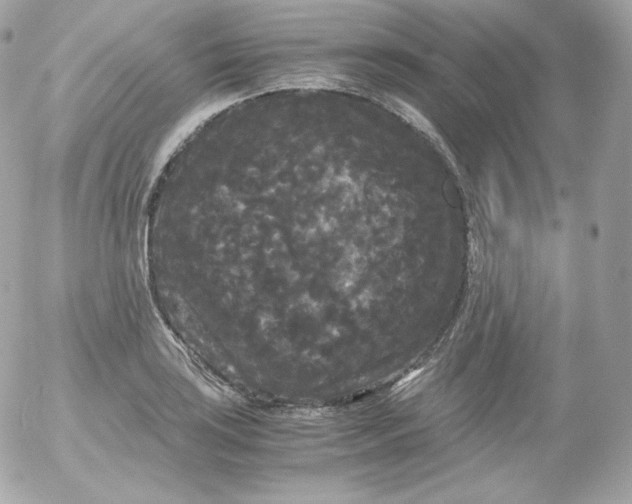 X0000052651035200507221836