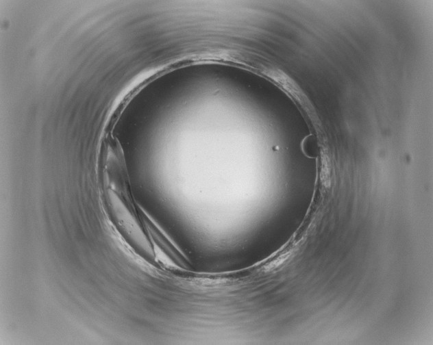 X0000052651036200507221836