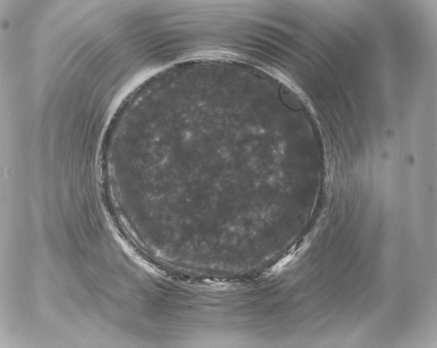 X0000052651037200507221836