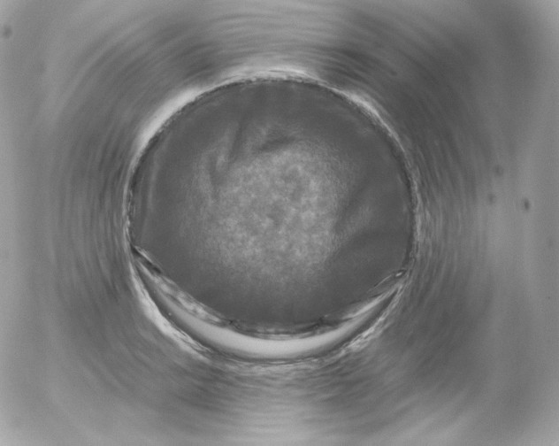 X0000052651038200507221836