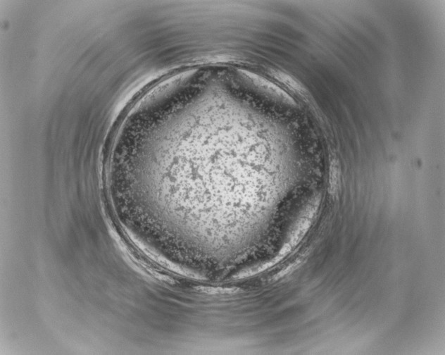 X0000052651039200507221836