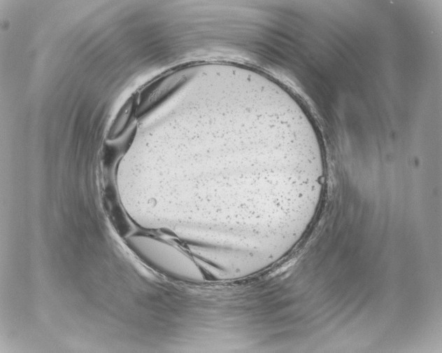 X0000052651040200507221836