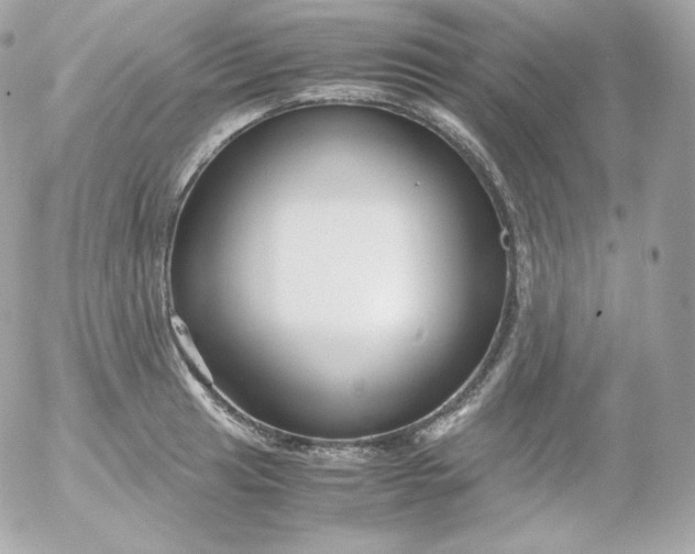 X0000052651041200507221836