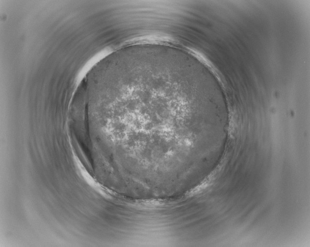 X0000052651042200507221836