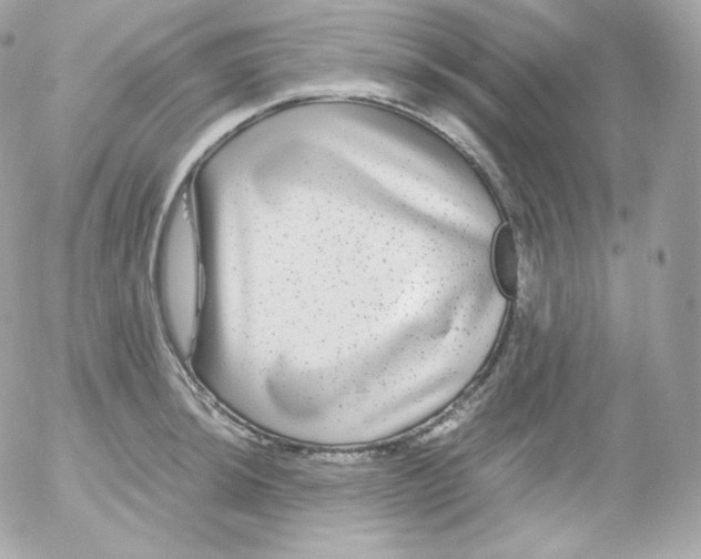 X0000052651044200507221836