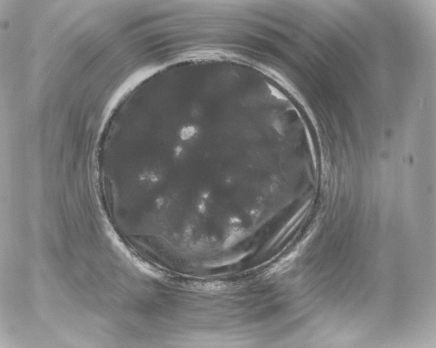 X0000052651045200507221836