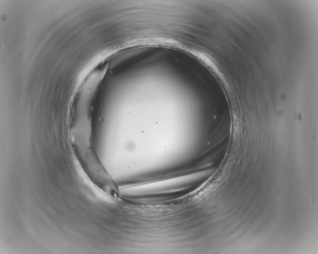 X0000052651046200507221836