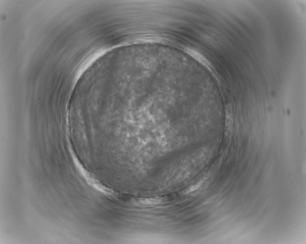 X0000052651047200507221836