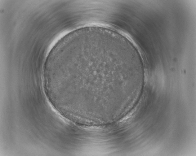 X0000052651048200507221836