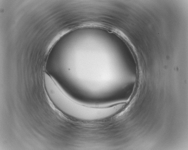 X0000052651049200507221836