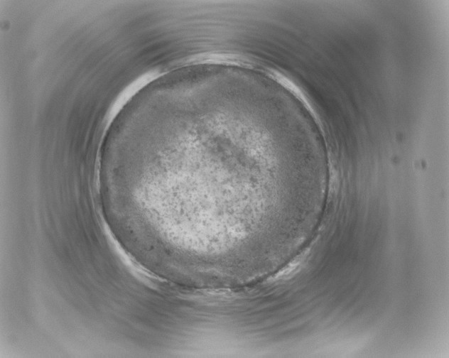 X0000052651050200507221836