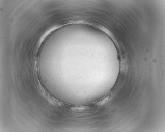 X0000052651051200507221836