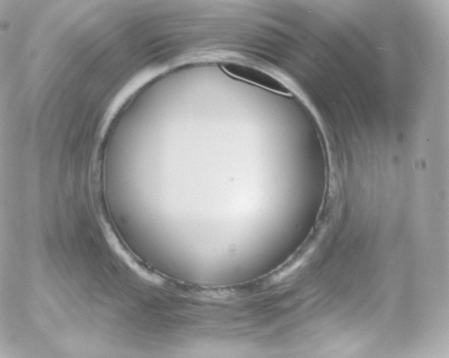 X0000052651053200507221836