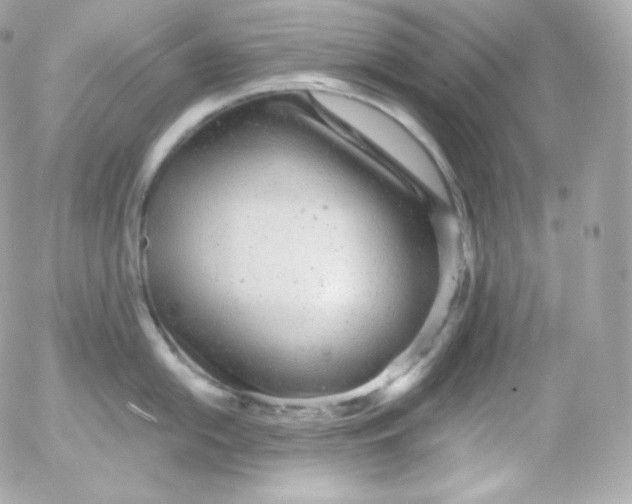 X0000052651054200507221836