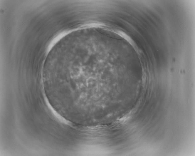 X0000052651055200507221837