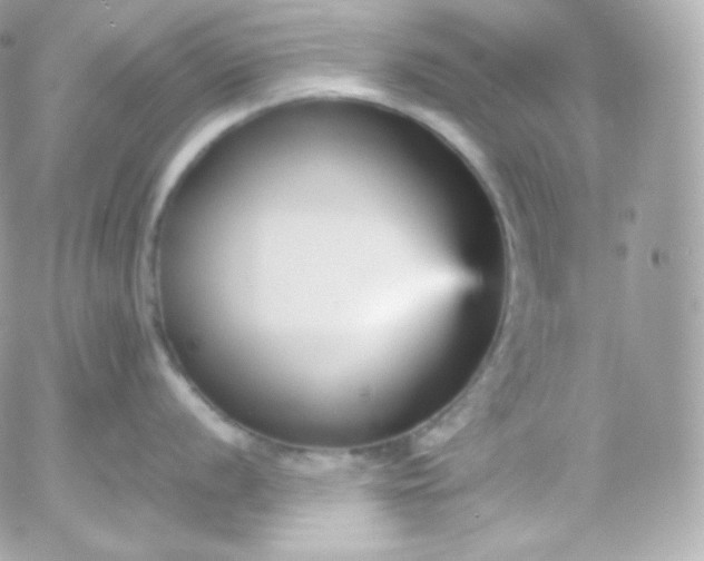 X0000052651056200507221837