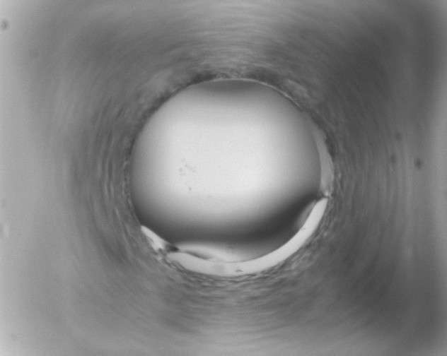 X0000052651057200507221836