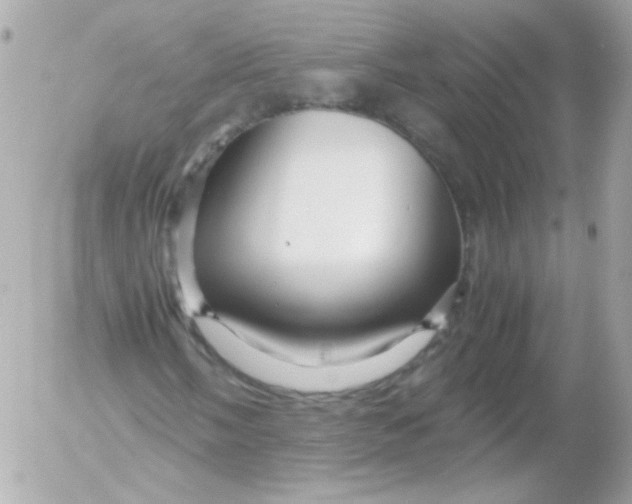 X0000052651058200507221836