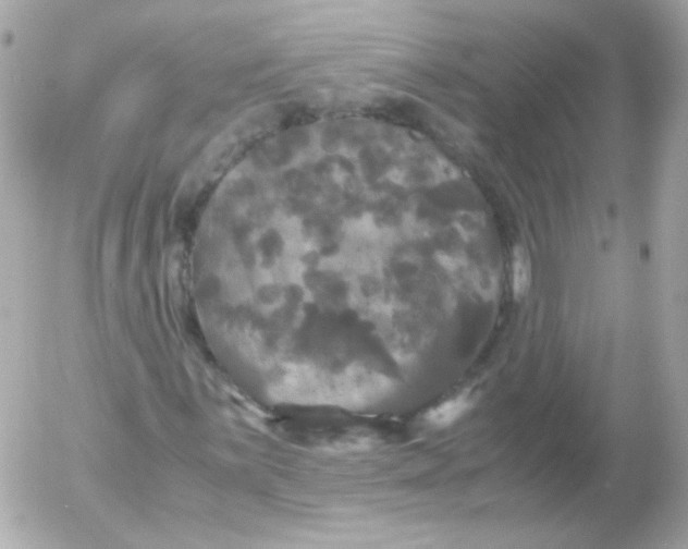 X0000052651059200507221836