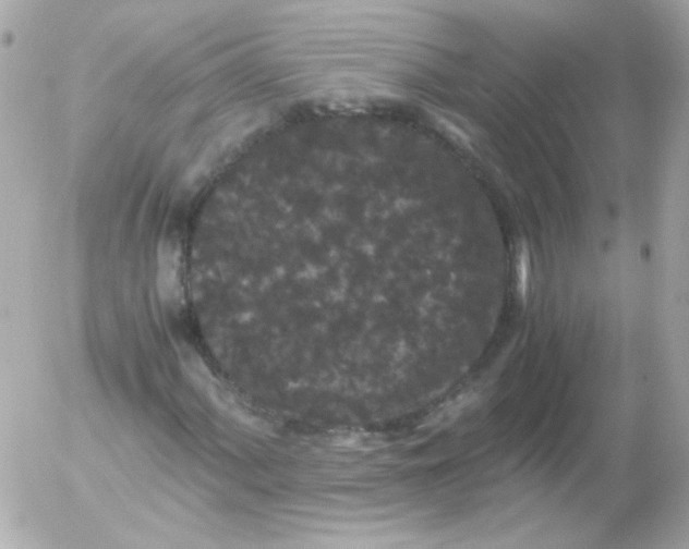 X0000052651060200507221836