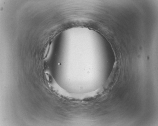 X0000052651061200507221836