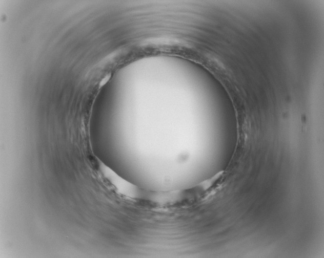 X0000052651062200507221836