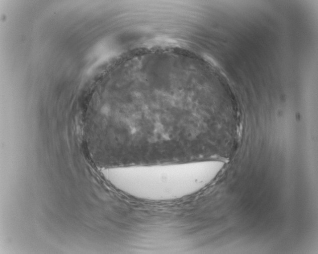 X0000052651063200507221836