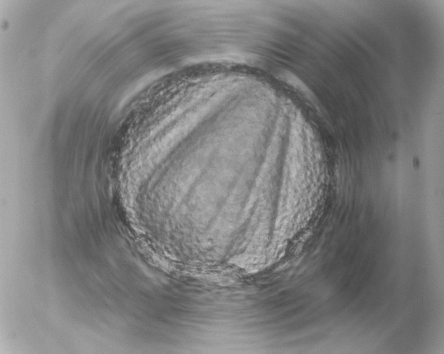 X0000052651064200507221836