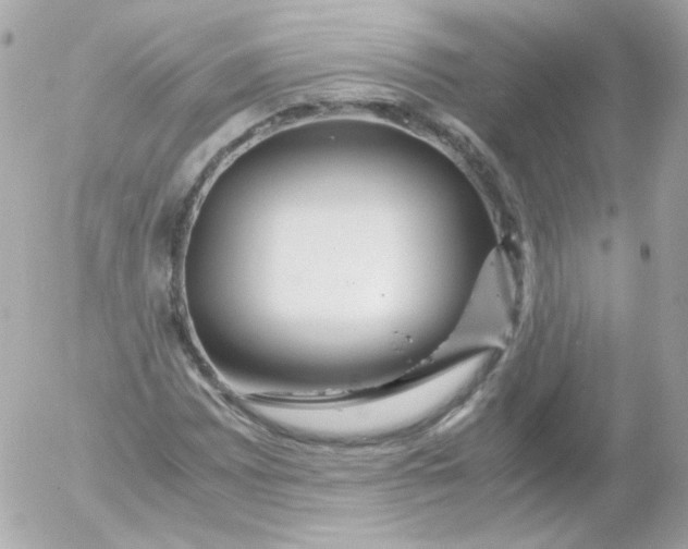 X0000052651065200507221836