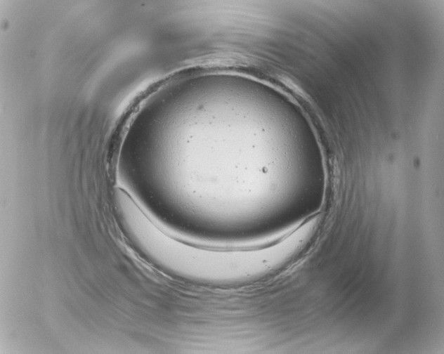 X0000052651067200507221836