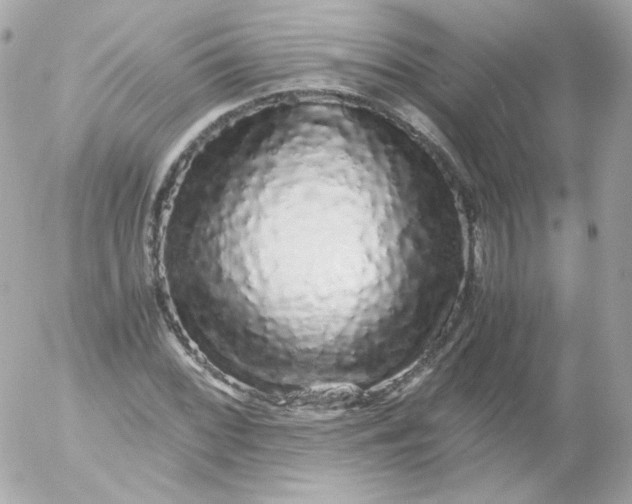 X0000052651068200507221836