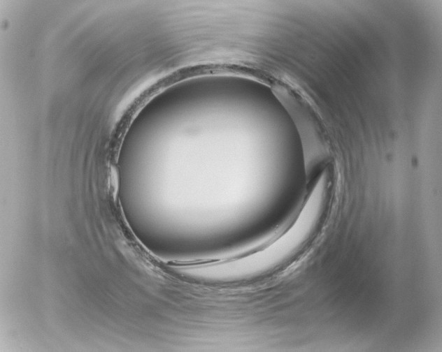 X0000052651069200507221836