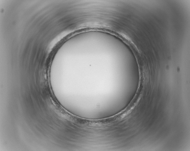 X0000052651070200507221836