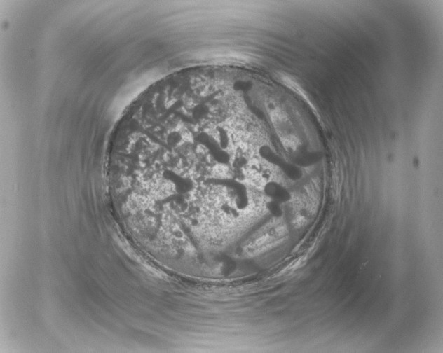 X0000052651071200507221836