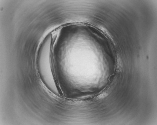 X0000052651072200507221835