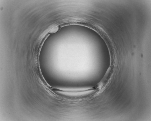 X0000052651073200507221835