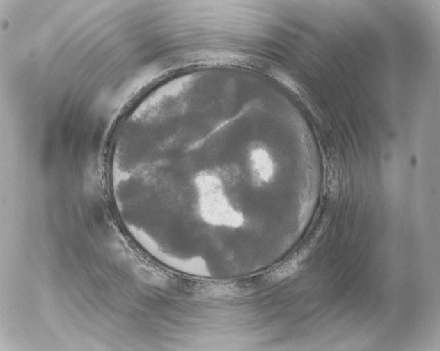 X0000052651074200507221835