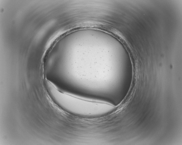 X0000052651075200507221835