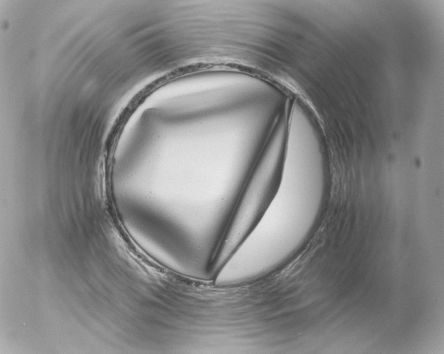 X0000052651076200507221835