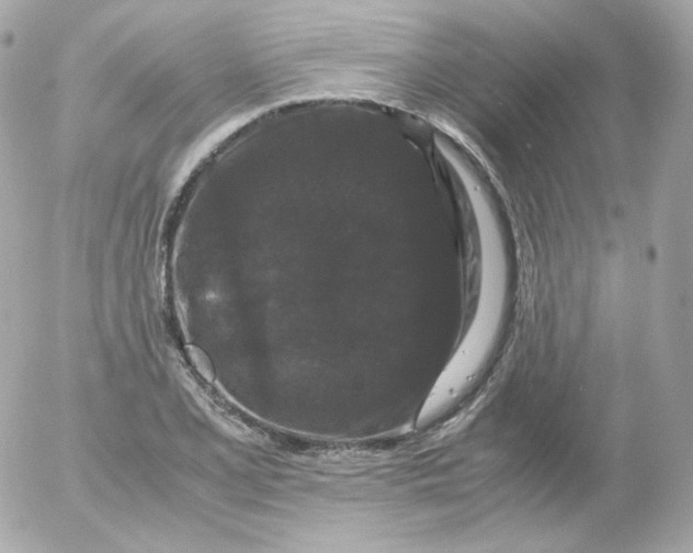 X0000052651077200507221835