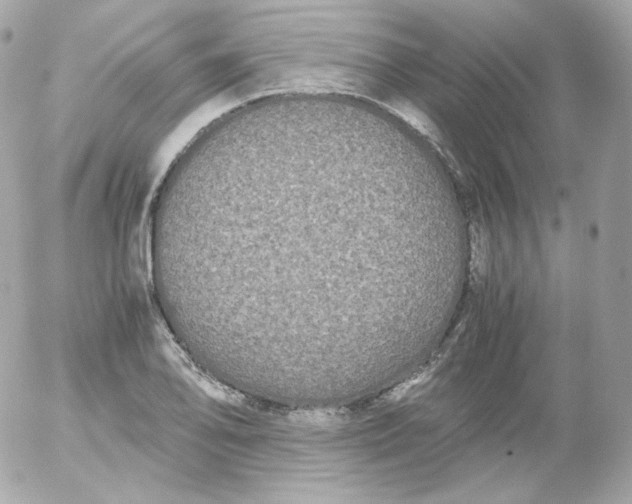 X0000052651078200507221835