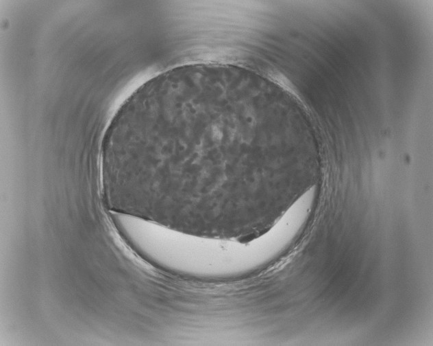 X0000052651079200507221835